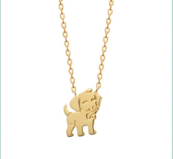 Collier Chien